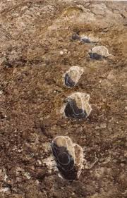 ciampate del diavolo 2