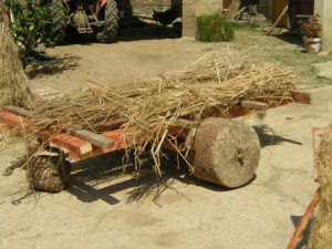 Foto 4. carroccio per trasportare la canapa dai lagni per la stenditura detto straul
