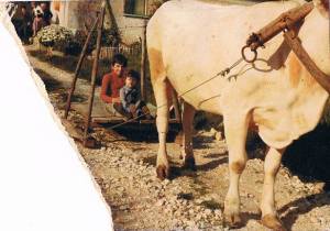 esempio di straulo, tratto da una foto d'epoca scattata a Caiazzo